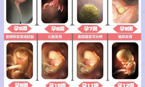 九个月宝宝吃龙利鱼好吗-龙利鱼宝宝能吃吗他的营养价值,中国九个月宝宝吃龙利鱼网站